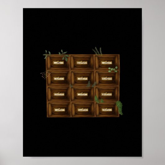 Whimsigoth Apothecary Drawers Poster (Voorkant)