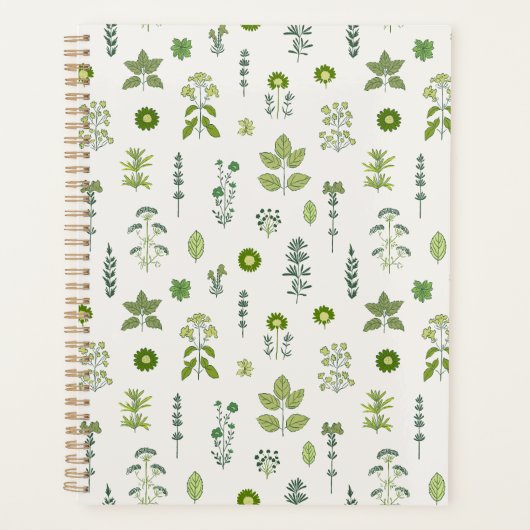 Whimsy Green sauvage (Devant)