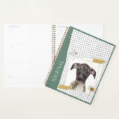 Whippet (Devant avec enveloppe)