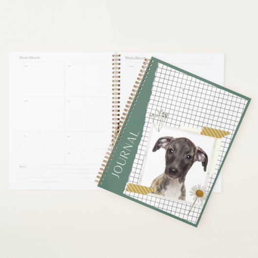 Whippet (Devant avec enveloppe)