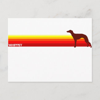 Whippet avec carte postale