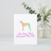 Whippet Briefkaart (Staand voorkant)