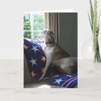 Whippet die "u missen" Wenskaart Kaart