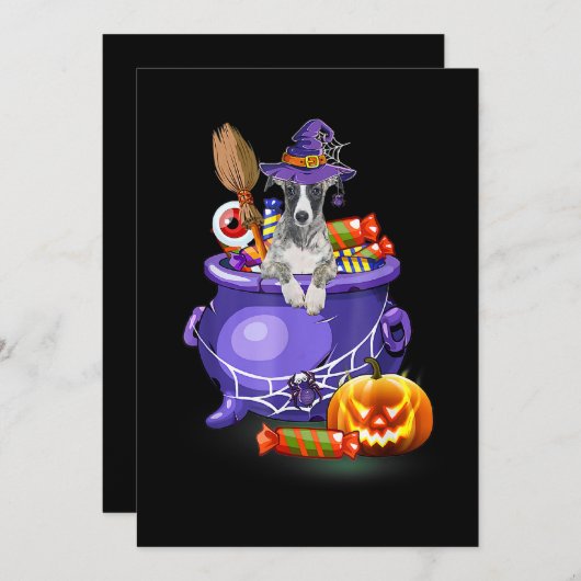 Whippet Dog met heks Pet Snoep pompoen Halloween Feestdagenkaart (Voorkant / Achterkant)