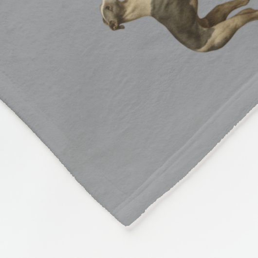 Whippet fleece blanket with grey background (Hoek)