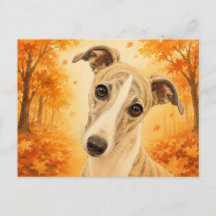 Whippet Herfst Bos Hond