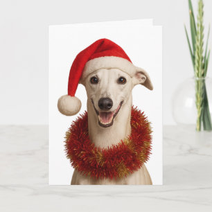 Whippet in een kerstmuts Kerstkaart Kaart