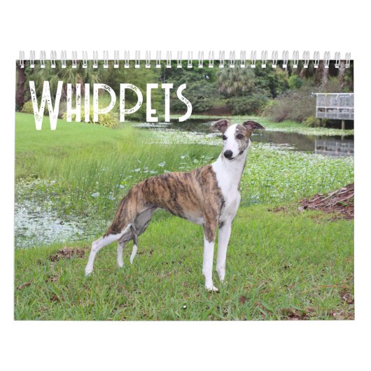 Whippet-kalender Kalender (Hoes)