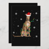 Whippet Kerstlicht Schattige Kerstman Whippet Kers Feestdagenkaart (Voorkant / Achterkant)
