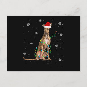 Whippet Kerstlicht Schattige Kerstman Whippet Kers Feestdagenkaart