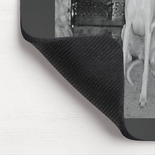 Whippet - MousePad Muismat (Hoek)
