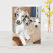 Whippet puppykaart kaart (Gele Bloem)