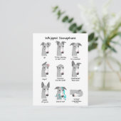 Whippet Semaphore Briefkaart (Staand voorkant)