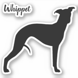 Whippet Silhouette Cool Hondenliefhebber Vinyl Sti Sticker