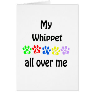 Whippet wandelingen ontwerp