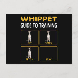 whippetgids voor het trainen van gehoorzaamheid bi briefkaart