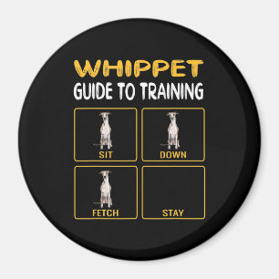 whippetgids voor het trainen van gehoorzaamheid bi magneet