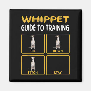 whippetgids voor het trainen van gehoorzaamheid bi magneet