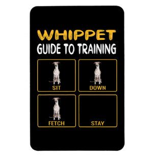 whippetgids voor het trainen van gehoorzaamheid bi magneet