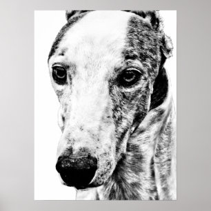 Whippethond Poster