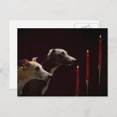 Whippetten bij Kerstmis Feestdagenkaart (Voorkant / Achterkant)