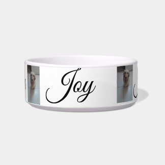 "Whisker Haven: Stijlvolle en praktische Pet Bowls Voerbakje