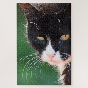 Whiskers - Cat Jigzaag Puzzle - 20x30 - 1014 pc Legpuzzel