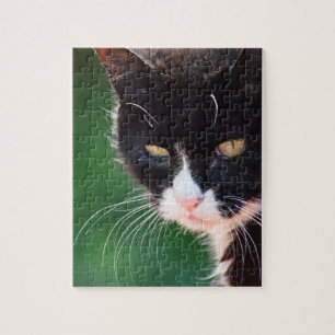 Whiskers - Cat Jigzaag Puzzle - 8x10 - 100 pc Legpuzzel