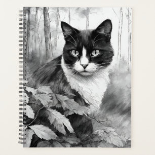Whiskers et Watchfult - chat de forêt