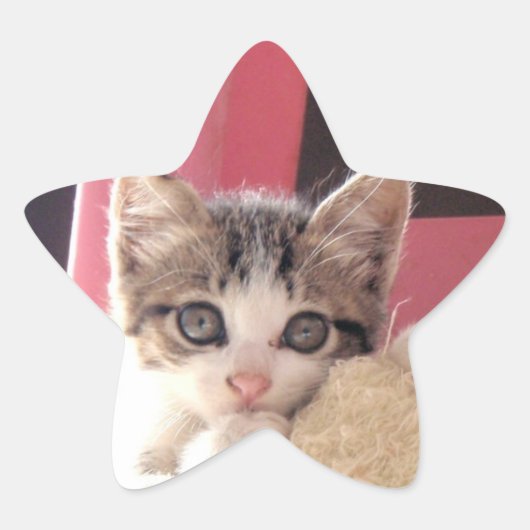 Whiskers' kitten speelgoed star stickers (Voorkant)