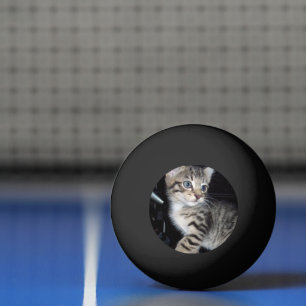 Whiskers of Trouble: Het ondeugende Tabby Kitten Pingpongballen