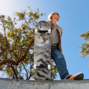 Whiskers of Trouble: Het ondeugende Tabby Kitten Skateboard