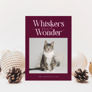 Whiskers & Wonder Cat Foto Cranberry Kerstmis Feestdagenkaart