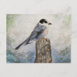 Whiskey Jack Post Card Briefkaart