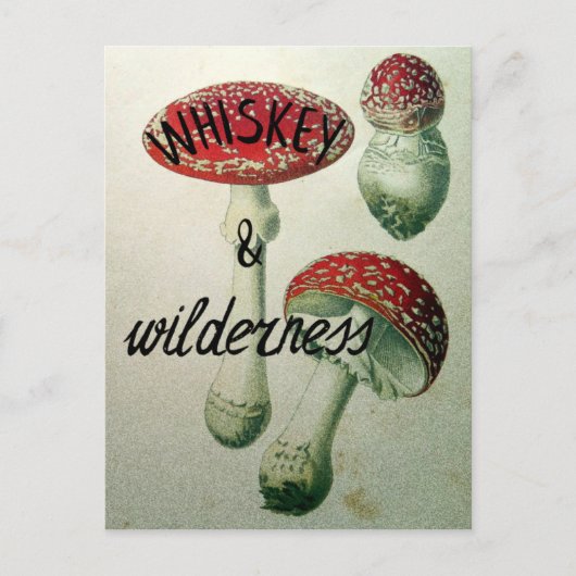 Whiskey & Wilderness Toadstool Briefkaart (Voorkant)