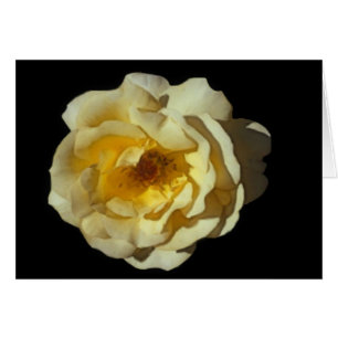 Whisky Mac Roos Card