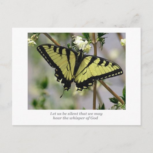 Whisper Butterfly Briefkaart (Voorkant)