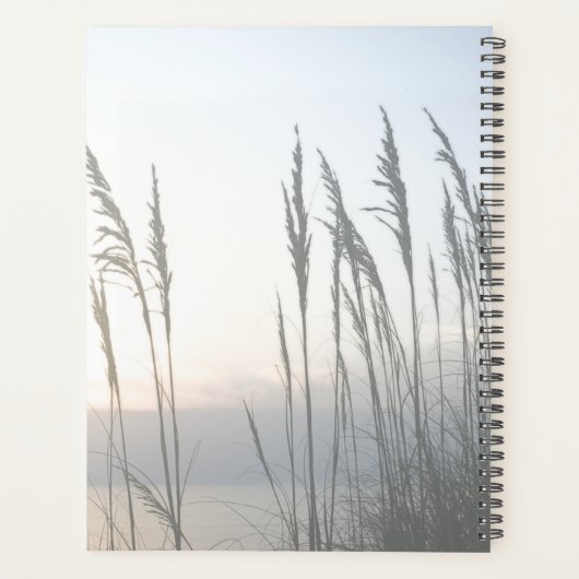 Whisper du matin (Dos)