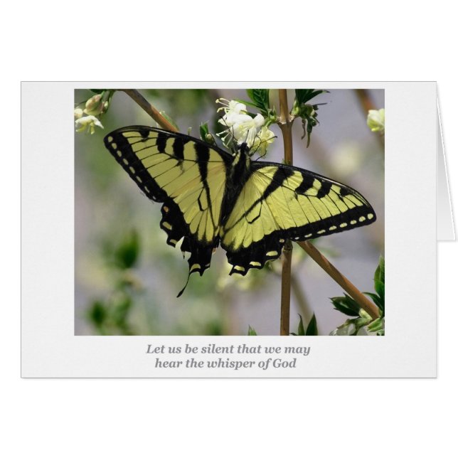 Whisper-vlinder (Voorkant Horizontaal)