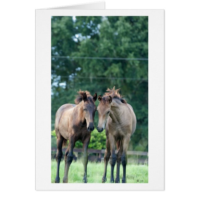 Whispering (Voorkant)