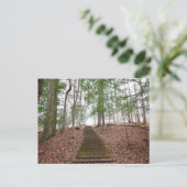 Whispering Cave, Hocking Hills State Park, Ohio Briefkaart (Staand voorkant)