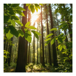 Whispering Forest Foto Afdruk