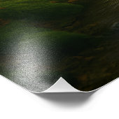 Whispering Forest Foto Afdruk (Hoek)