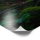 Whispering Forest Foto Afdruk (Hoek)