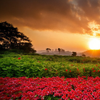 Whispers of Enchantment: De magische wereld Telefo Case-Mate iPhone 14 Hoesje