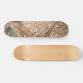 Whispers of the Moon : Plum Blossoms Skateboard (Horz)