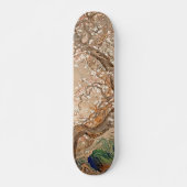 Whispers of the Moon: Skateboard voor Plum Blossom (Voorkant)