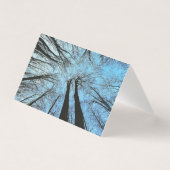 Whispers of the Whisper Forest (Front)