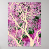 Whispers of the Woodland Poster (Devant)