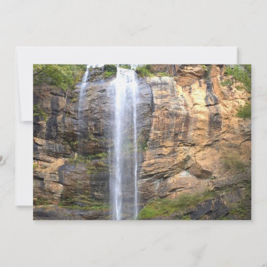 Whispers of Toccoa Falls Notitiekaartje (Voorkant)